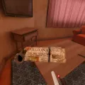 wk_arizona-sunshine-remake (94).jpg