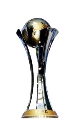 Coupe du monde de football des clubs 2008-2009