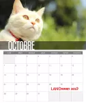 LAN'Oween 2019, nous n'avons pas eu le choix dans la date