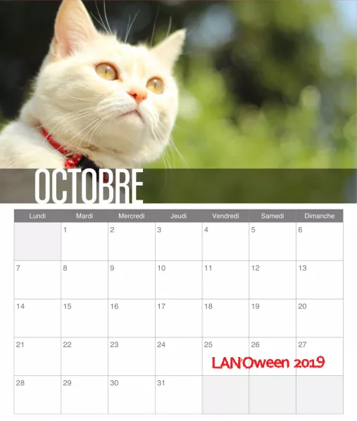 Calendrier 2019 Calendrier 2019