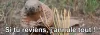 Un pangolin d'avril Un pangolin d'avril