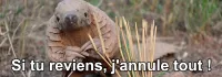 Un pangolin d'avril