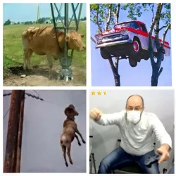 Ludao champion d&#039;automne 2021 !