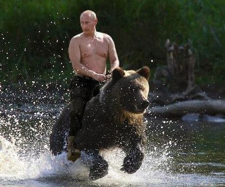 Tu peux te pointer sur ton ours, on va régler ça à mains nues ! Tu peux te pointer sur ton ours, on va régler ça à mains nues !