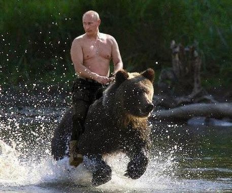 Tu peux te pointer sur ton ours, on va régler ça à mains nues !