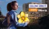 Participez à la course de la Jonquille Contre le Cancer 2023 avec la Team-Azerty Participez à la course de la Jonquille Contre le Cancer 2023 avec la Team-Azerty