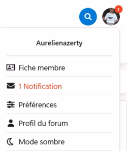 Retour des notifications sur le site