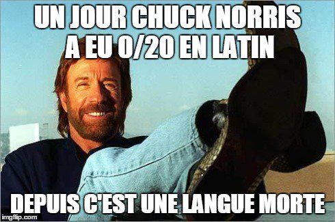 Chuck Norris Fact 4